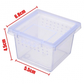 Terrario Insect Box Mini - plastikowe terrarium 6,5x6,5x4,5cm