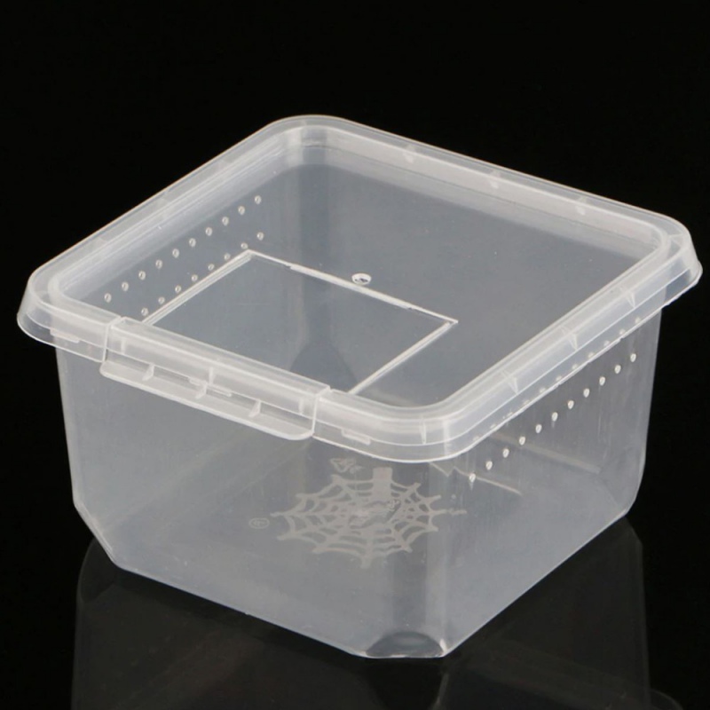 Terrario Insect Box Compact 12x12x7cm