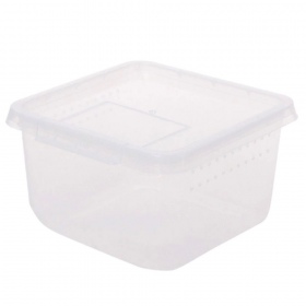 Terrario Insect Box Compact - plastikowe terrarium 12x12x7cm