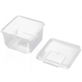 Terrario Insect Box Compact - plastikowe terrarium 12x12x7cm