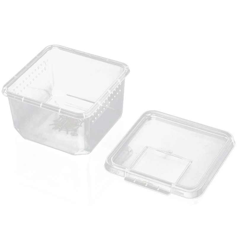 Terrario Insect Box Compact - plastikowe terrarium 12x12x7cm