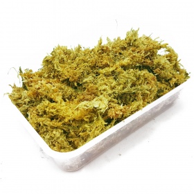 Repti-Zoo Chilen Sphagnum-sammal 4,5l