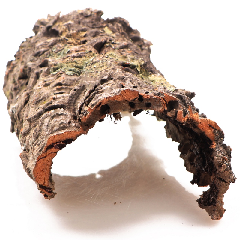 Cork Oak Bark by weight