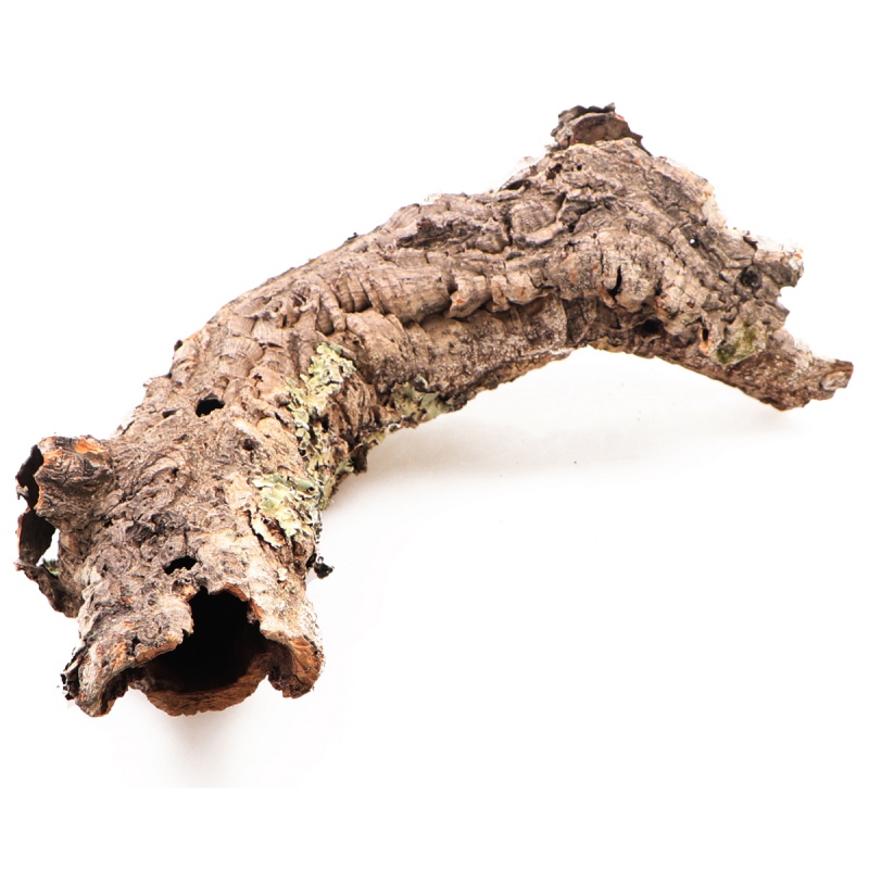 Cork Oak Bark by weight