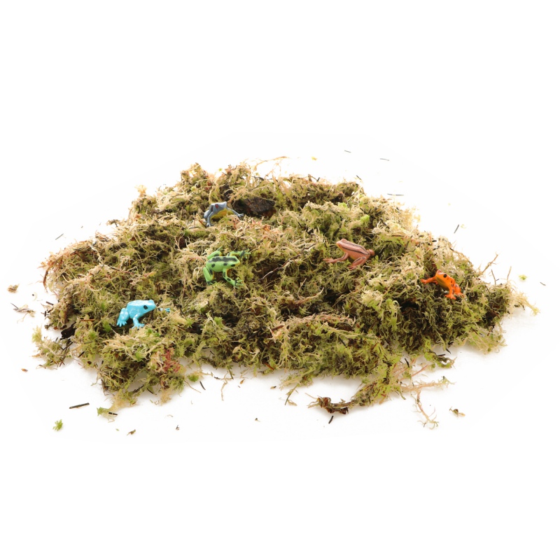 Komodo Habitat Moss 3L - Live Sphagnum Moss