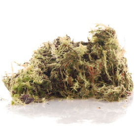 Komodo Habitat Moss 3l - żywy mech torfowiec 400g