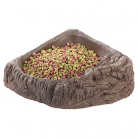 Bowl Terrario WoodLake L - Natural Look