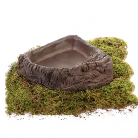 Bowl Terrario WoodLake L - Natural Look