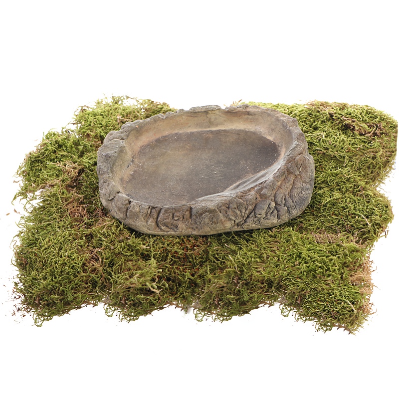 Terrario FoodStone XL - bowl 20x15x3cm