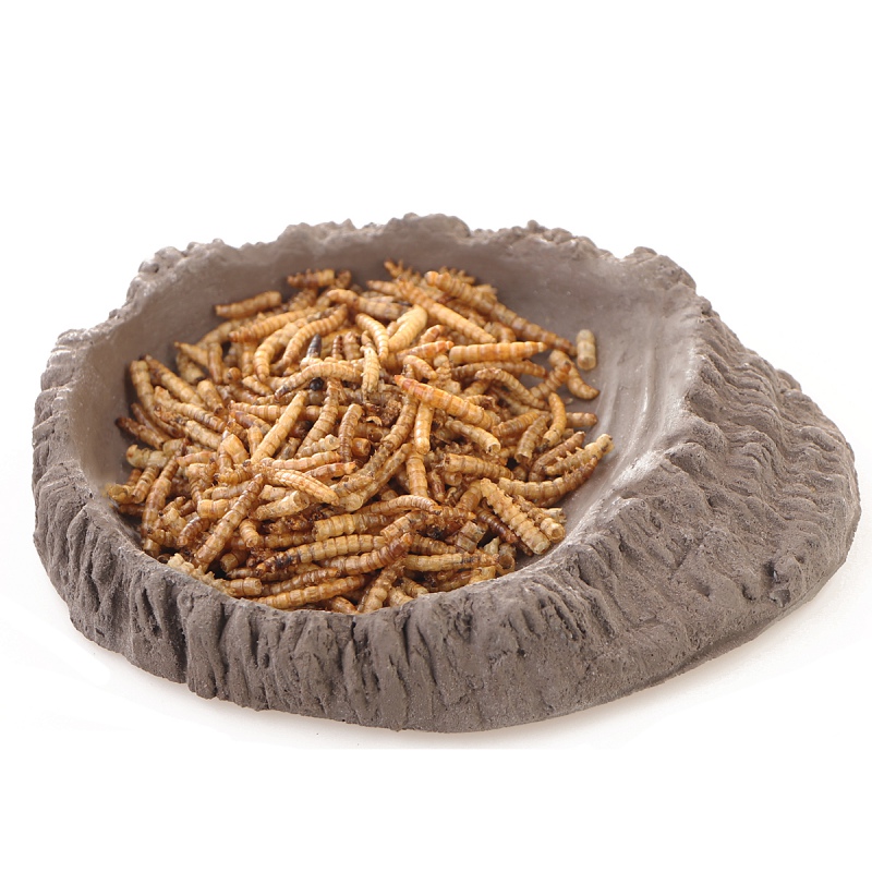 Terrario FoodWood M - Food Bowl 14x12x2.5cm