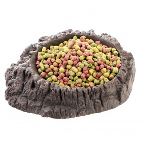 Terrario WaterWood M - Water Bowl 14x12x3cm