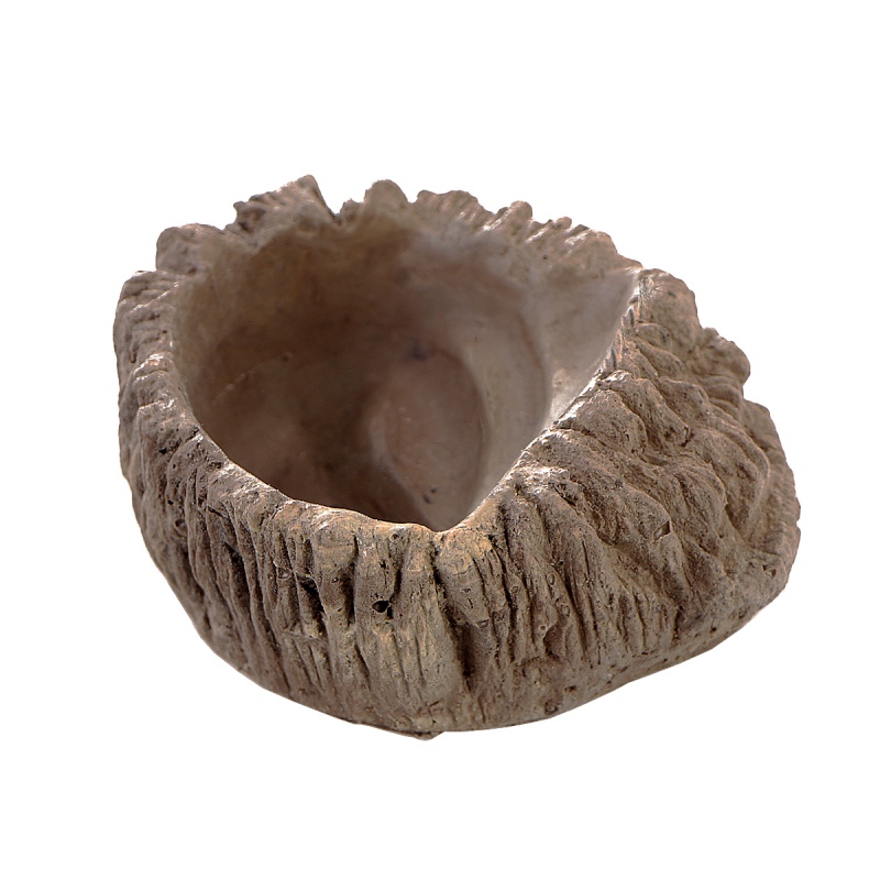 Terrario Wood - Deep Water Bowl