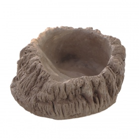 Terrario Wood - Deep Water Bowl