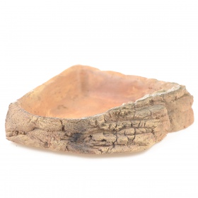 Cuenco Terrario StoneLake L - 20x20x4 cm