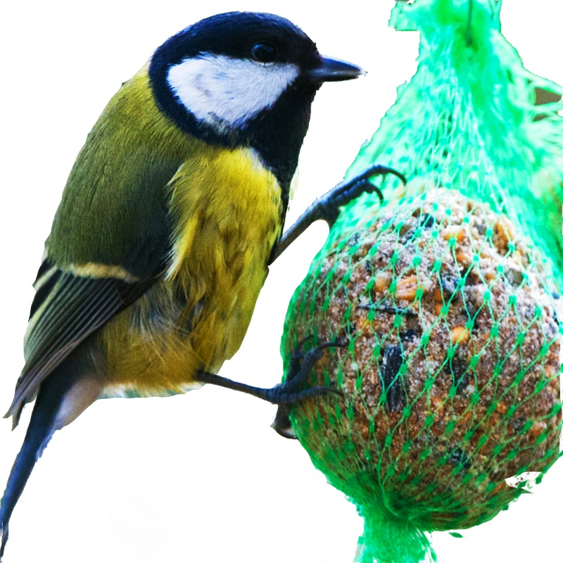 Alegia - Fat balls for birds