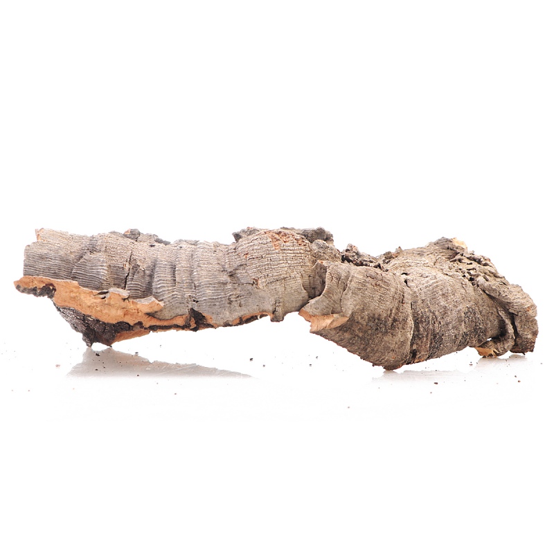 Cork Oak Bark XXL - By Weight