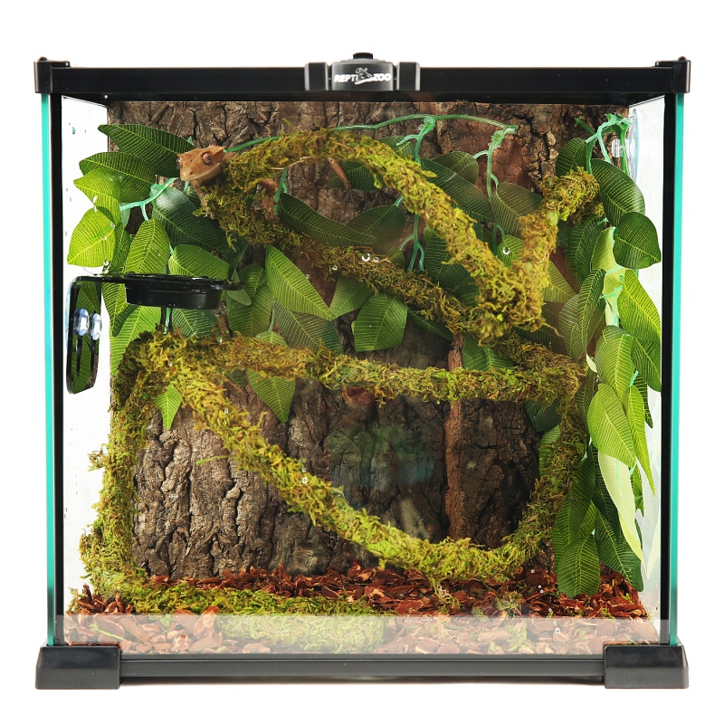 Repti-Zoo Moss Liana 1cm x 2m