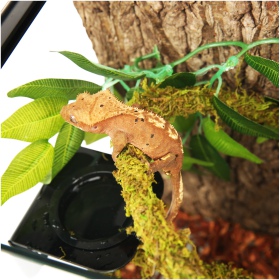 Liane en mousse naturelle Repti-Zoo 1cm x 2m