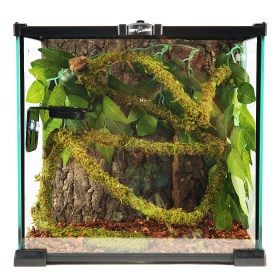 Repti-Zoo Liana z naturalnym mchem 2cm x 2m