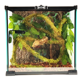 Liana with Moss Repti-Zoo 2cm x 2m