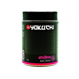 Bacterias Shōka YOKUCHI 40g