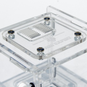 Ant Expert King's Valley formicarium