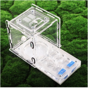 Ant Expert King's Valley formicarium