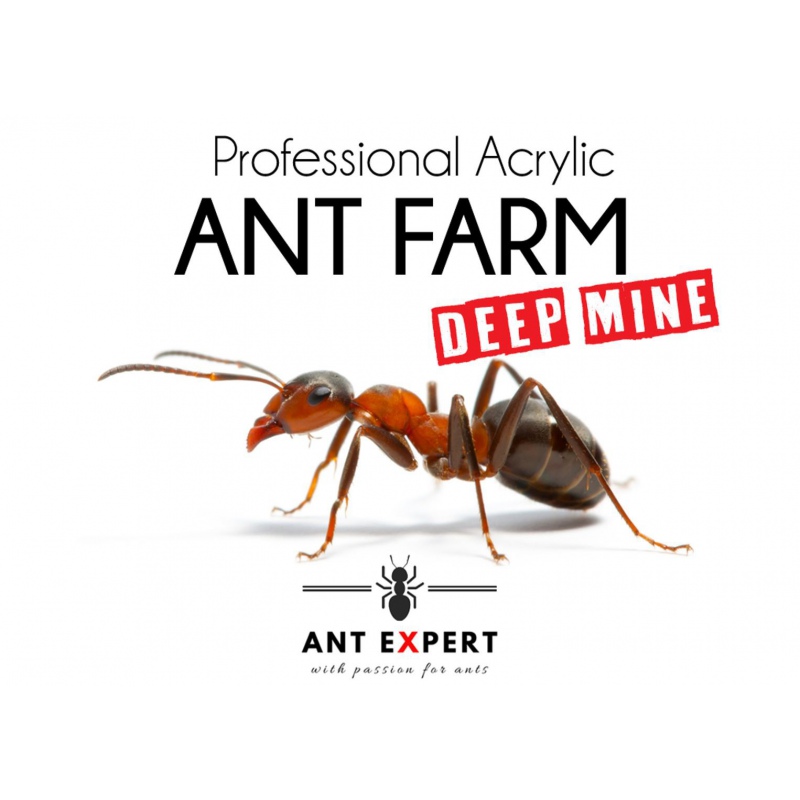 Ant Expert Deep Mine - professzionális formikárium