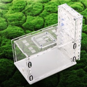 Ant Expert Deep Mine - Professional Formicarium