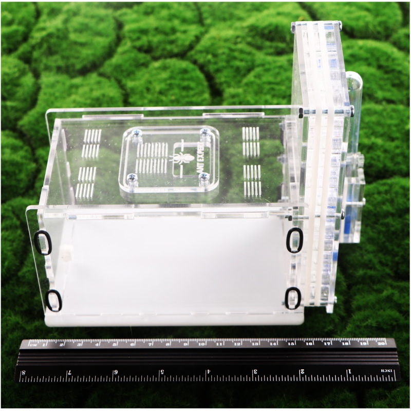 Ant Expert Deep Mine - Professional Formicarium