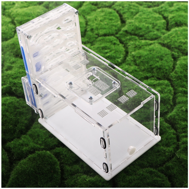 Ant Expert Deep Mine - Professional Formicarium