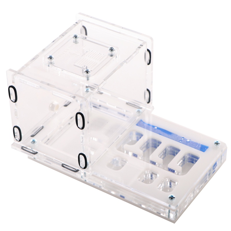 Ant Expert Tunnels Perdus - Professional Formicarium