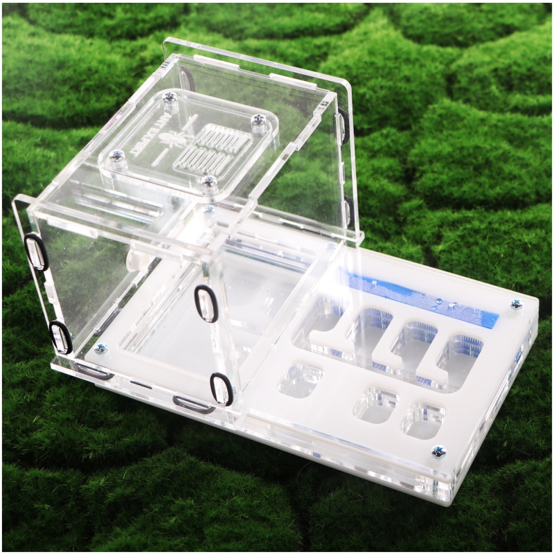 Ant Expert Tunnels Perdus - Professional Formicarium