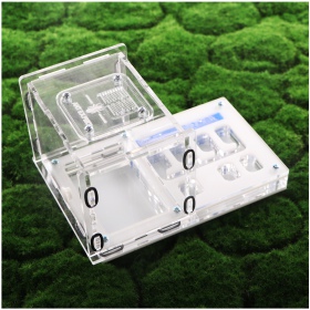 Ant Expert Tunnels Perdus - Professional Formicarium