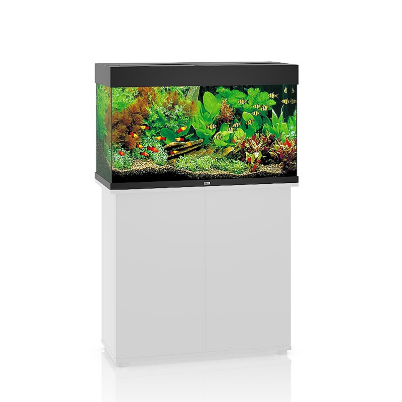 JUWEL Rio 125 LED black aquarium