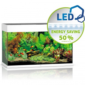 JUWEL Rio 125 LED Aquarium White - Classic and Quality