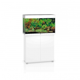 JUWEL Rio 125 LED Aquarium in Weiß