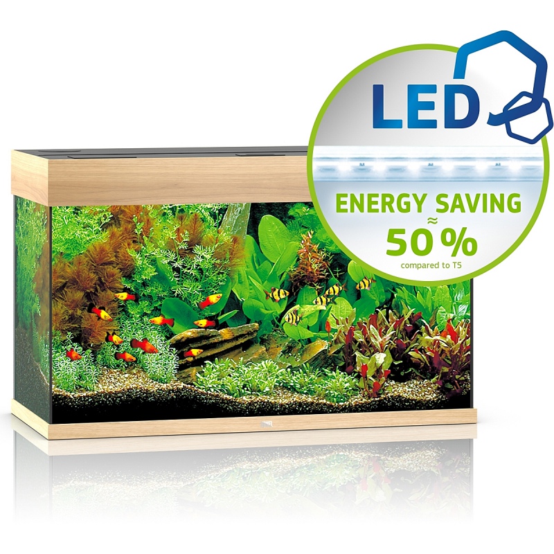 JUWEL Rio 125 LED - Aquarium in hellem Holz