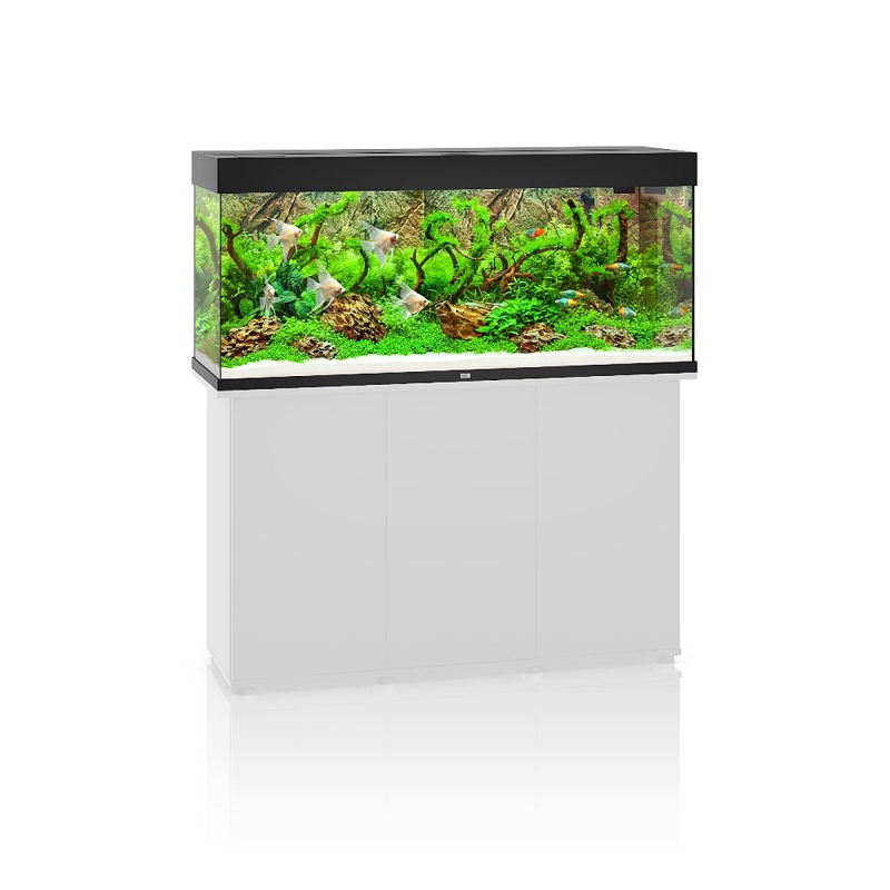 Juwel Rio 240 LED - Elegant Aquarium