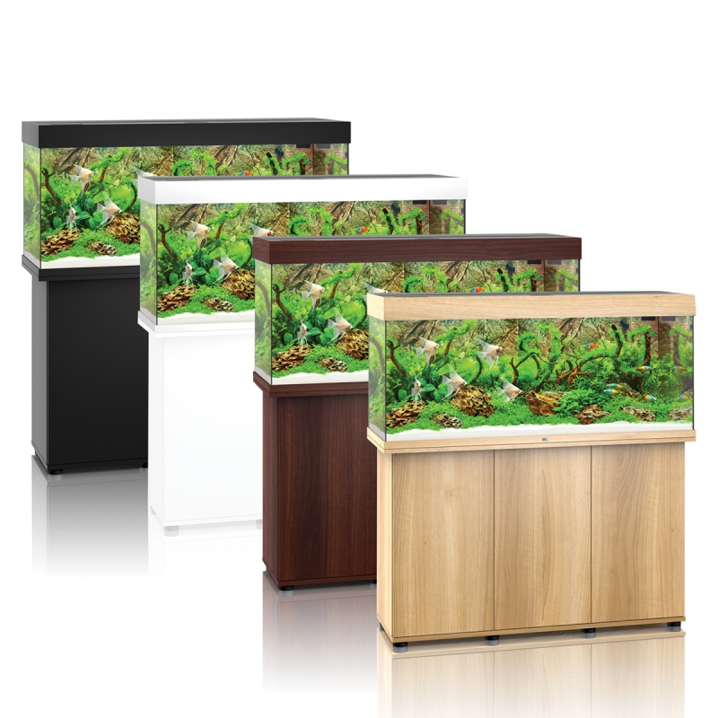 Juwel Rio 240 LED - Elegantes Aquarium in hellem Holz