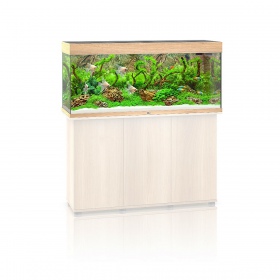 Juwel Rio 240 LED - Elegantes Aquarium in hellem Holz