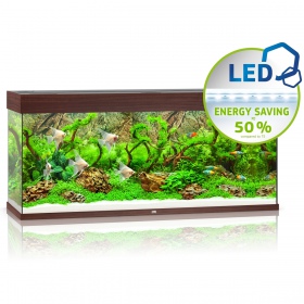 Juwel Rio 240 LED Aquarium Bois Foncé