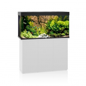 Juwel Rio 350 LED black - aquarium 350L