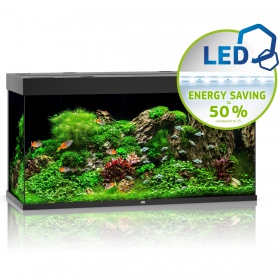 Juwel Rio 350 LED black - aquarium 350L