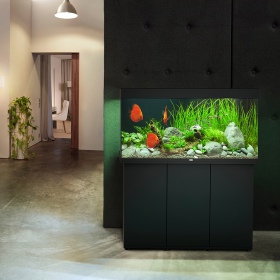 Juwel Rio 350 LED black - aquarium 350L