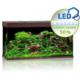 Juwel Rio 350 LED - Dark Wood Aquarium