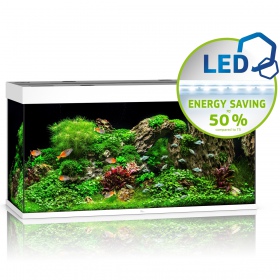 Juwel Rio 350 LED aquarium in wit