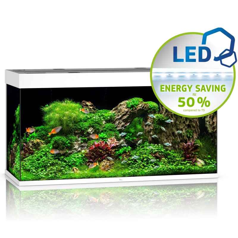 Juwel Rio 350 LED Aquarium in Weiß