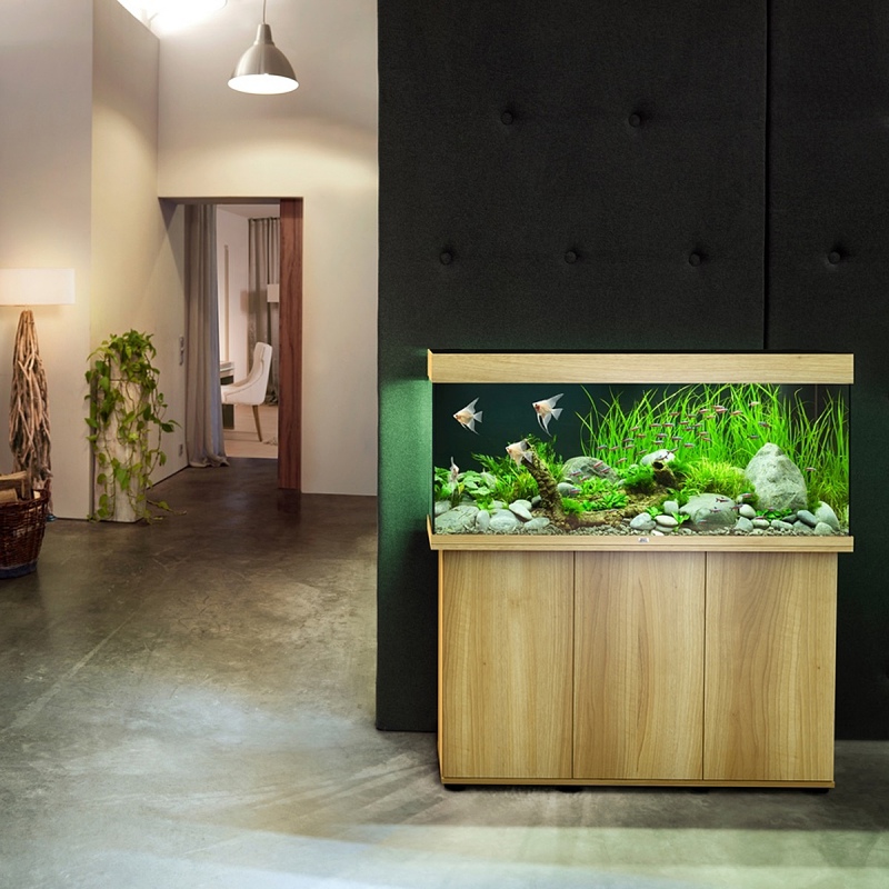 Juwel Rio 350 LED aquarium in licht hout