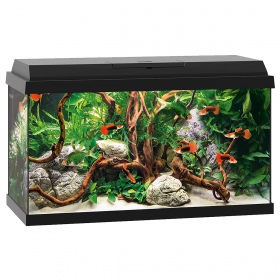 Juwel Primo 60 - LED-Aquarium mit Filtration